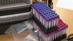 Három életet is megmenthetünk! Három életet is megmenthetünk!