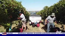 E'TG Sera 25/02/2026