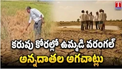 Barabar Adugudam : Drought-Hit Mandals in Unified Warangal: Farmers Face Severe Hardships | T News