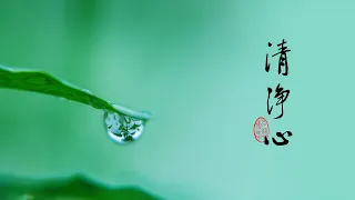 淨空老法師｜大經專修（二）｜宛然萬相，宛然無相-第0157集