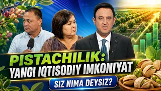 Pistachilik: yangi iqti̇sodiy Iimkoniyat | SIZ NIMA DEYSIZ? (20.08.2026)