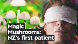 Первое в Новой Зеландии легальное лечение волшебными грибами | TVNZ+ Первое в Новой Зеландии легальное лечение волшебными грибами | TVNZ+