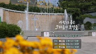 Fragments of Longing Cherished with Love | Part 1: Toward the Heavenly Crown [Preview]