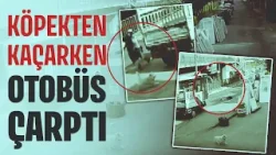 Köpekten kaçarken otobüs çarptı