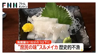 旬のスルメイカが歴史的不漁　仕入れ値4倍で苦渋の値上げ…来遊量は過去最低水準、サンマにも不漁の波（2026年08月03日）