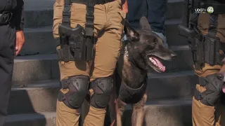 Guadalajara government adds 83 new police officers and patrol units