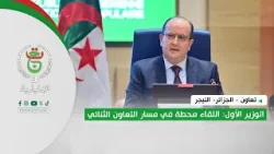 تعاون - الجزائر - النيجر | الوزير الأول: اللقاء محطة في مسار التعاون الثنائي