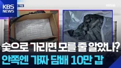 100,000 Packs of Cigarettes ‘Disguised as Charcoal’... Gwangju Customs Intercepts Smuggling / KBS...