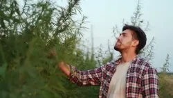 NC Cannabis Alliance   Member Services