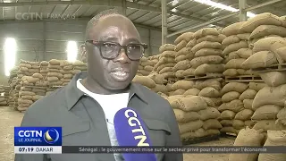 From Ivorian Cashews to the Chinese Market: A New Trade Route Opens