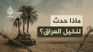 ألف نخلة ونخلة.. من قطع رؤوس 20 مليون نخلة في العراق؟
