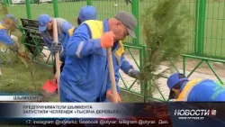 В Шымкенте стартовал челлендж по озеленению города