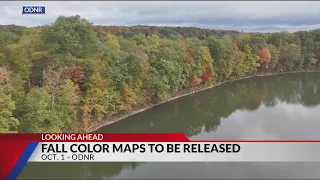 ODNR preparing to issue its Fall Color maps