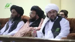 افغانستان غوړه ګوله نه، بلکې د زقوم ونه ده