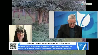 SUCEDE EN LA CIUDAD DE APÓSTOLES, PROVINCIA DE MISIONES