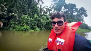 🐒 Navegando al amanecer por Tortuguero | La excursión más salvaje de Costa Rica
