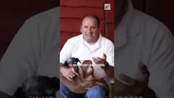 El dicho se vuelve realidad: Estos son los perritos del cura El dicho se vuelve realidad: Estos son los perritos del cura