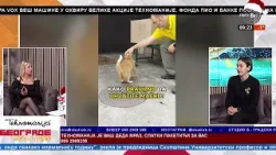 BEOGRADE DOBRO JUTRO - Animal Rescue Serbia BEOGRADE DOBRO JUTRO - Animal Rescue Serbia