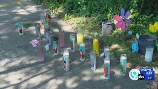 Former Onondaga Co. prosecutor talks about where the fatal Park Street crash case may go
