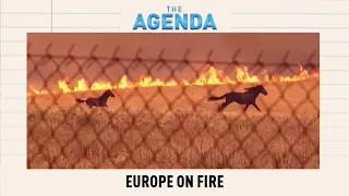 Wildfires Sweep Europe: Can Governments Keep Up?