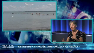 Objektív 2026. augusztus 13. - A globális felmelegedés és hatásai