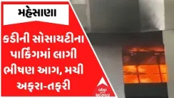 Mehsana Fire | કડીની સોસાયટીના પાર્કિંગમાં લાગી ભીષણ આગ, મચી અફરા-તફરી