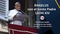 Ángelus con el Papa León XIV - Domingo 11 de enero de 2026