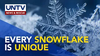 Nakabibilib na kaalaman tungkol sa mga snowflake | Wonders of Creation