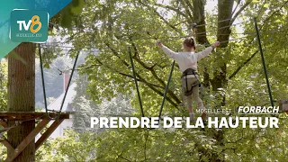 Treetop adventure comes to the Forb'Estivales