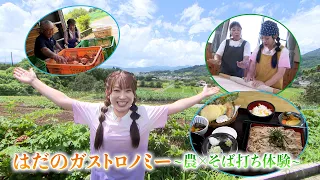 「はだのガストロノミー ～農×そば打ち体験～」かながわ旬菜ナビ 2026/8/23放送