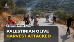Rampant settler attacks: Surge in violence across occupied West Bank