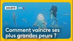 Requins, altitude, vitesse, à la recherche du grand frisson