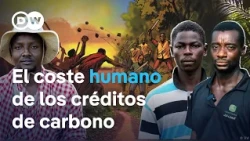El negocio del CO₂: cómo la protección del clima está cambiando África I El Reportero