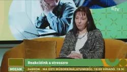 Reakcióink a stresszre – Mozaik