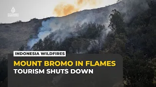 Mount Bromo in Flames: East Java Wildfires Threaten Livelihoods