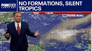 No formations, silent tropics
