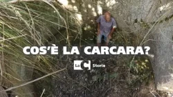 What is carcara? - 𝐋𝐚𝐂 𝐒𝐭𝐨𝐫𝐢𝐞