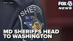 Sheriffs head to Washington for new challenge of limiting immigration enforcement