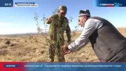 Министерством обороны также проводится работа по озеленению территорий
