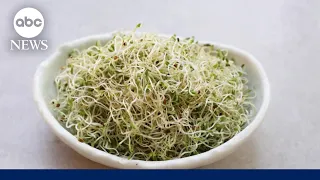 Food safety reality check: What’s safe to eat?