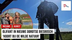 Deze olifant staat in de Nieuwe Dordtse Biesbosch