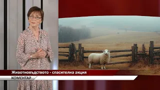 Агрокоментар: Животновъдството - спасителна акция