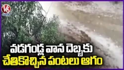 Heavy Hailstorm Rain Lashes In Machareddy  Kamareddy District | V6 News