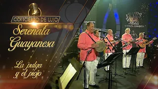 [Concierto de Lujo] – Serenata Guayanesa - La Pulga Y El Piojo