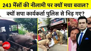 Syed Suhail | UP Election 2027: भैंसों की नीलामी पर क्यों मचा बवाल?| CM Yogi | UP News | Lucknow
