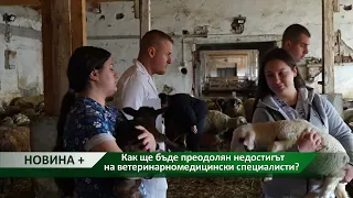 Новина плюс: Как ще бъде преодолян недостигът на ветеринарномедицински специалисти?