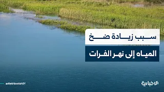 Director of the Euphrates Dam General Authority explains the reason for increasing water discharg...