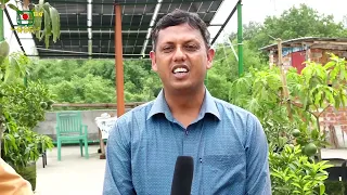 সৌরপ্যানেল ব্যবহার করে ২৫-৩০ বছর নিশ্চিন্তে বিদ্যুৎ ব্যবহার সম্ভব