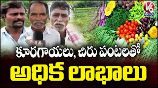 El Niño Effect Drives Farmers Towards Vegetable and Pulse Cultivation In Warangal | V6 News