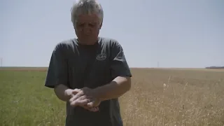 گەرما زیانی دوو ملیار یۆرۆی بە دانەوێڵەی ئەوروپا گەیاندووە